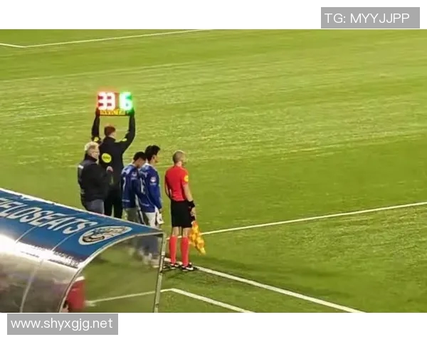 聚焦足球球星cailiao成长之路与赛场辉煌瞬间全面解析